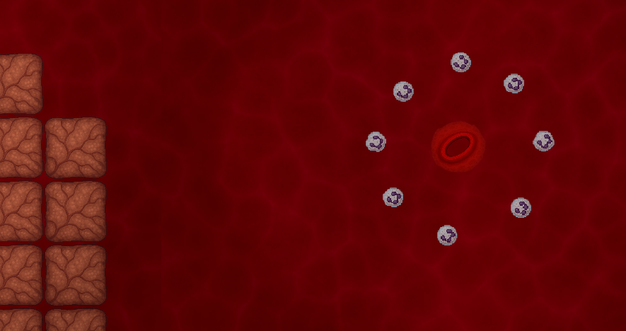 A ring of neutrophils holding position around a red blood cell beside an artery wall.